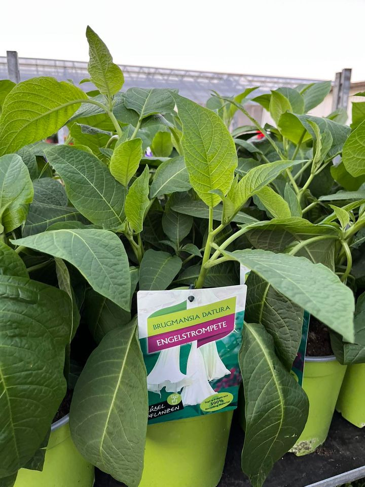 Det nyeste på Odders opslagstavle