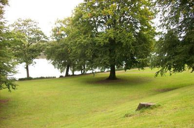 Årsmøde og spændende foredrag hos Scleroseforeningens lokalafdeling i Silkeborg