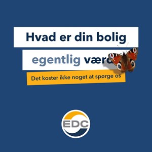 Opslagsbillede