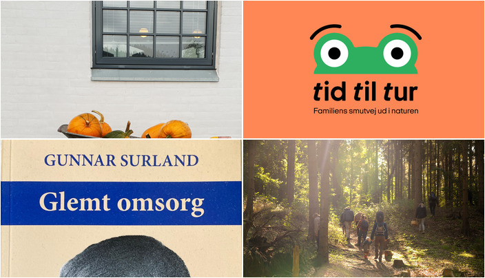 Tag På Græskar-Workshop Eller Svampetur: Se Hvad Der Sker Denne Uge i Skørping