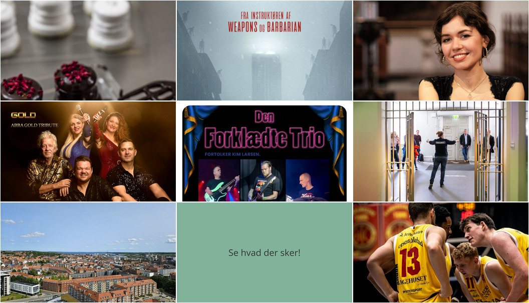 Oplev Horsens denne weekend: Flødebollekurser, film og musikoplevelser