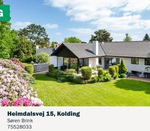 Opslagsbillede