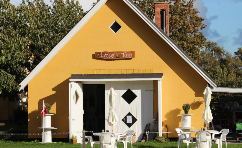 Oplev tangens vidundere med Rie på Læsø Tang