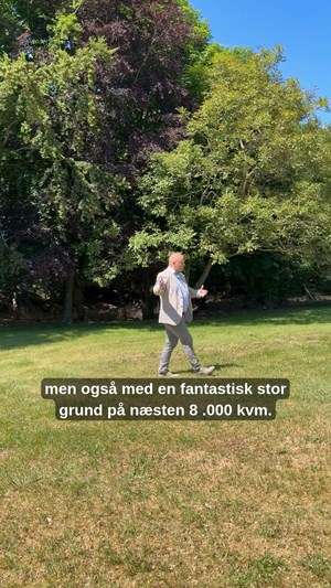 opslagsbillede