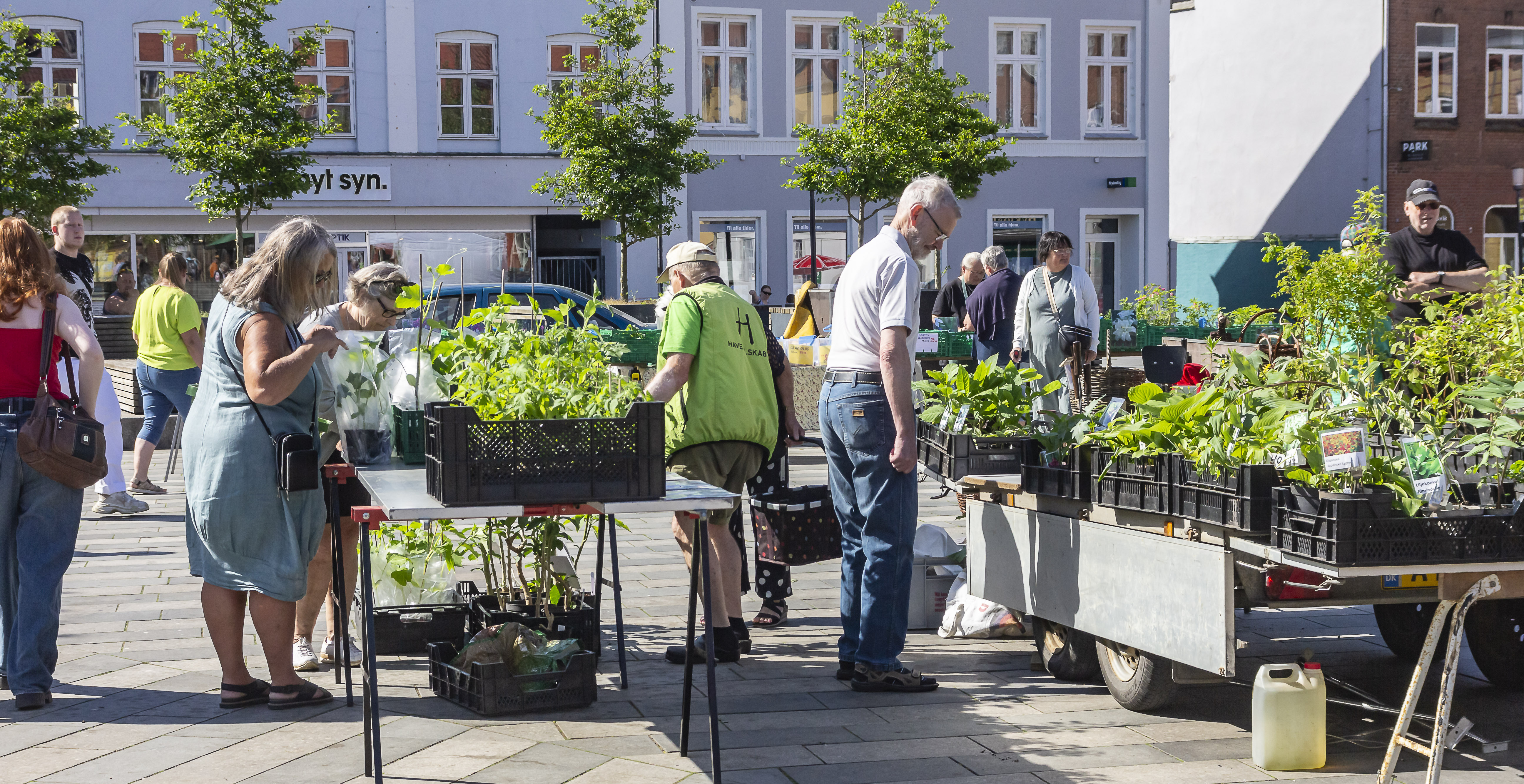 Haveselskabets plantemarked på Gravene i Haderslev