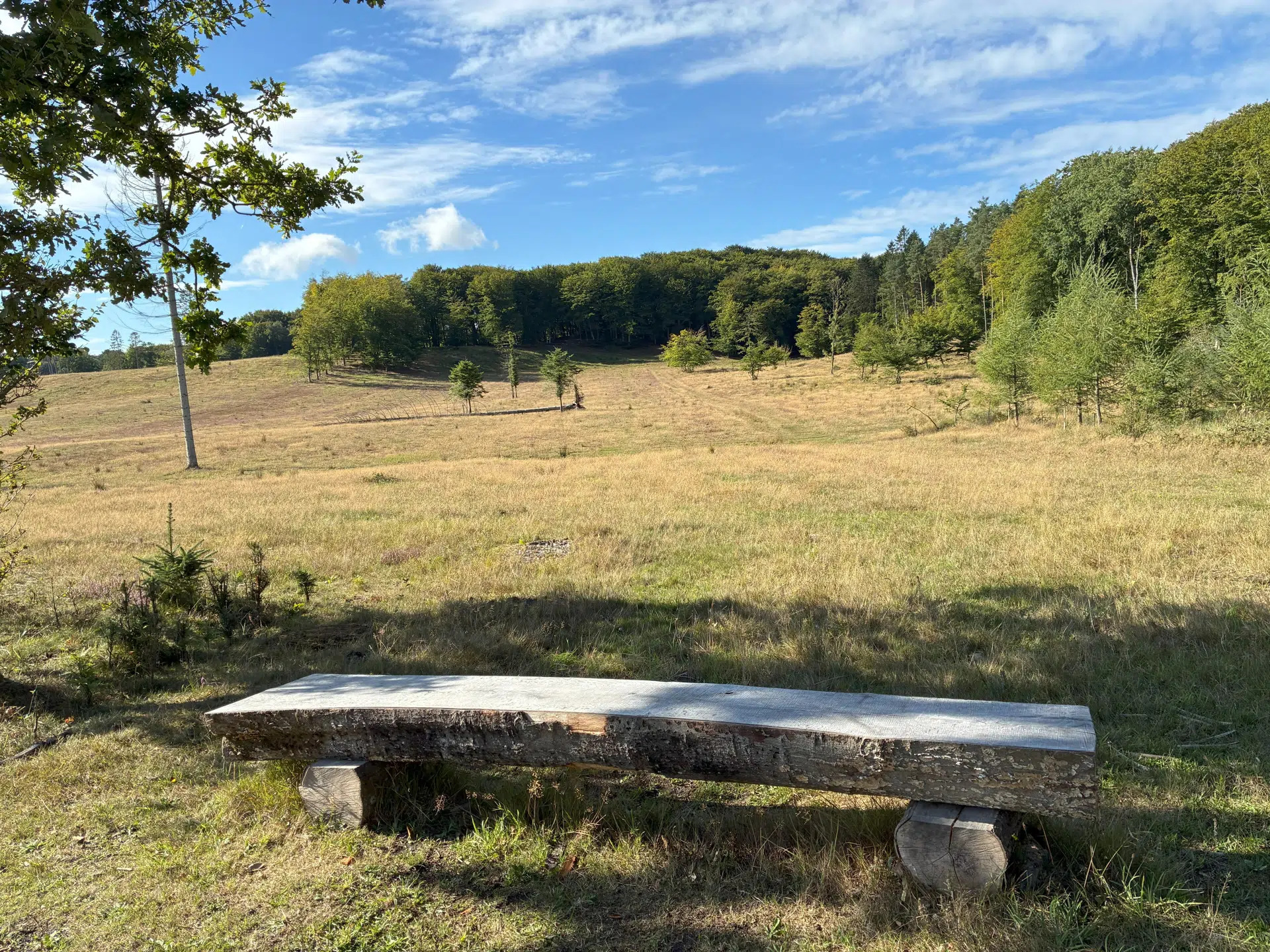 Ny certificeret vandrerute i Hammer Bakker byder på natur, historie og lokalt samarbejde