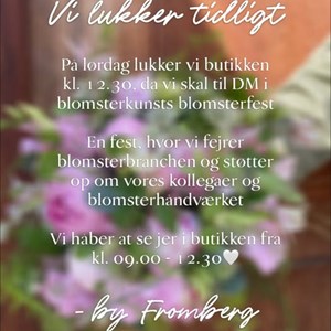 Opslagsbillede