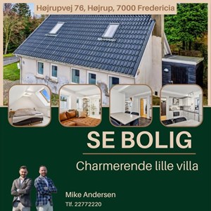 Opslagsbillede