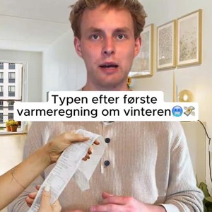 Opslagsbillede