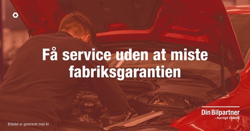 Opslagsbillede