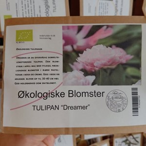 Opslagsbillede