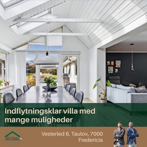 opslagsbillede