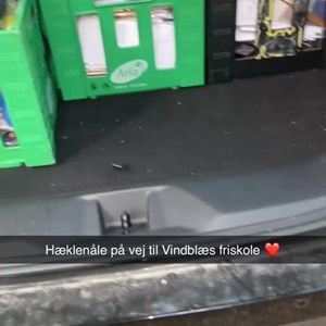 Opslagsbillede