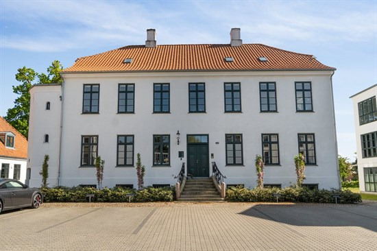 Er Aastrupvej 11B i Haderslev kommune drømmehjemmet? Se de dyreste boliger til salg nu for op til 13,5  mio. kroner