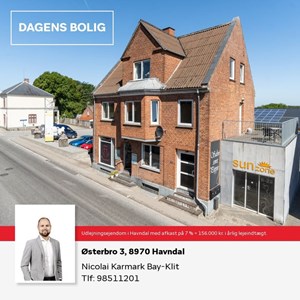 Opslagsbillede