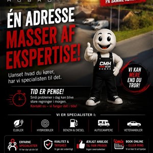 Opslagsbillede