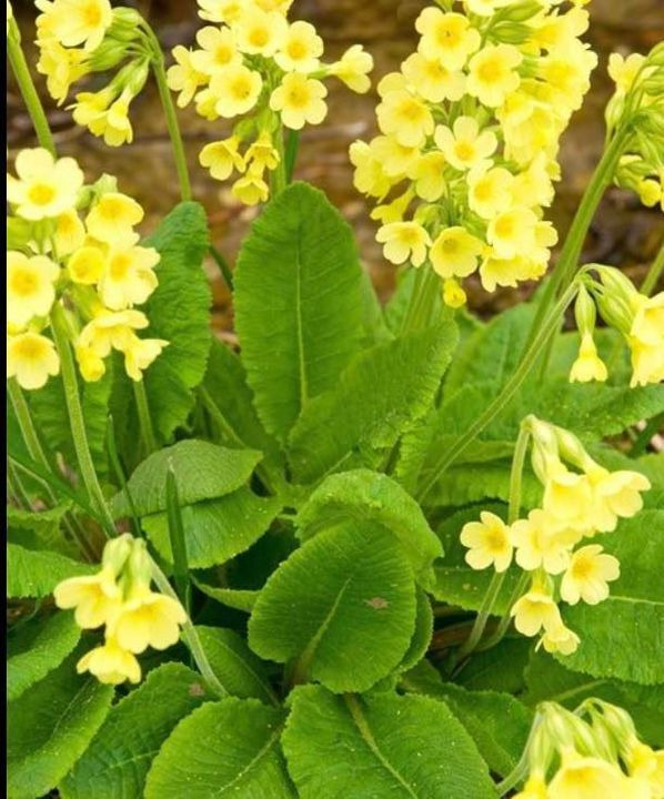 Opdatér dig her: Det nyeste fra Hobro