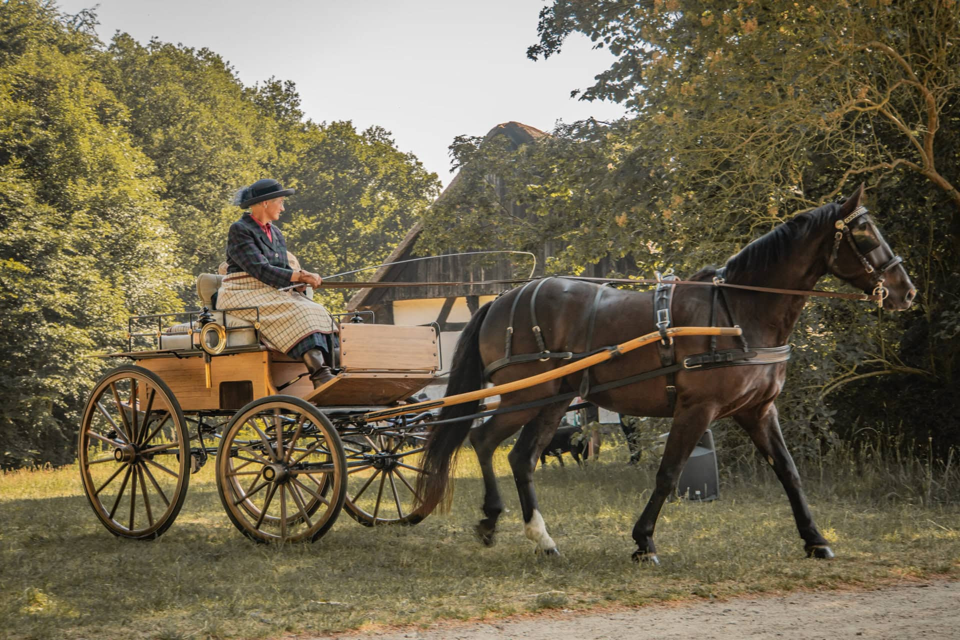 Oplev heste, vogne og kuske i historiske rammer