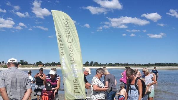 Det går helt i fisk på stranden i Øster Hurup