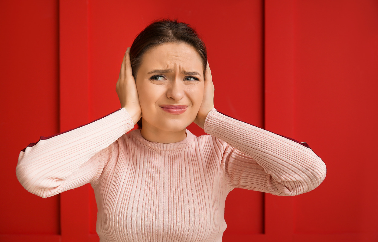 Planer om seks meter høj støjdrage i Silkeborg