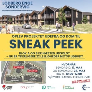 Opslagsbillede