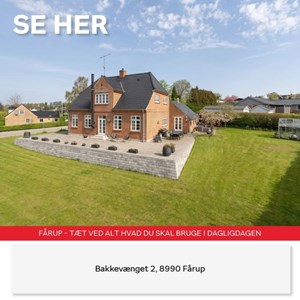Opslagsbillede
