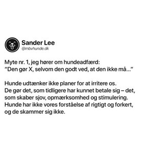 Opslagsbillede