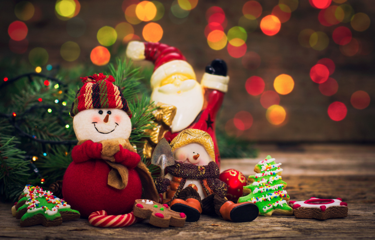 Ingen skal sidde alene i højtider som jul og nytår