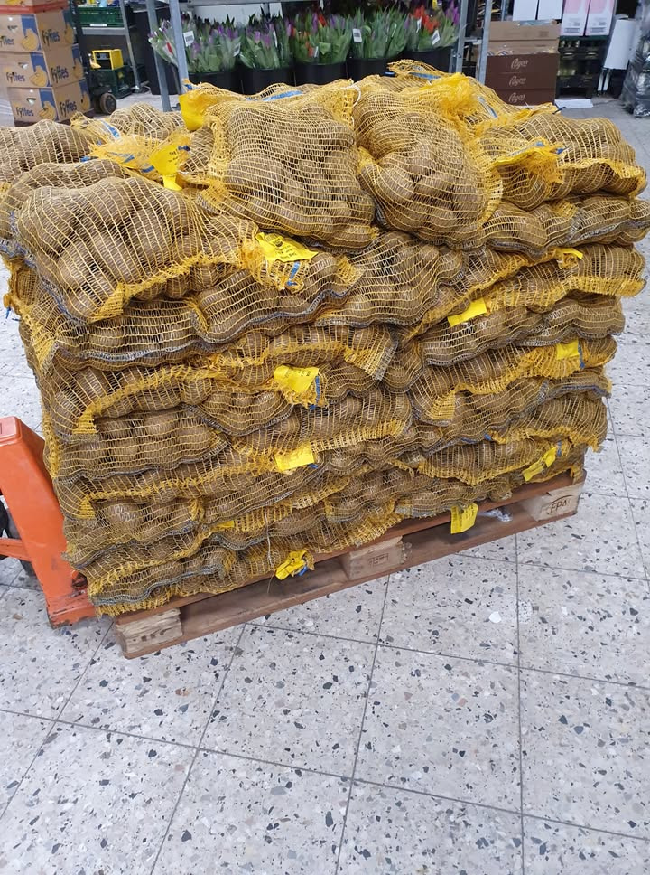 Fødselsdagstilbud på kartofler hos Løvbjerg Frederikshavn: 5 kg til kun 24,99 kr