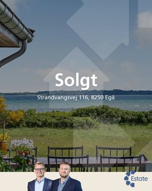 opslagsbillede