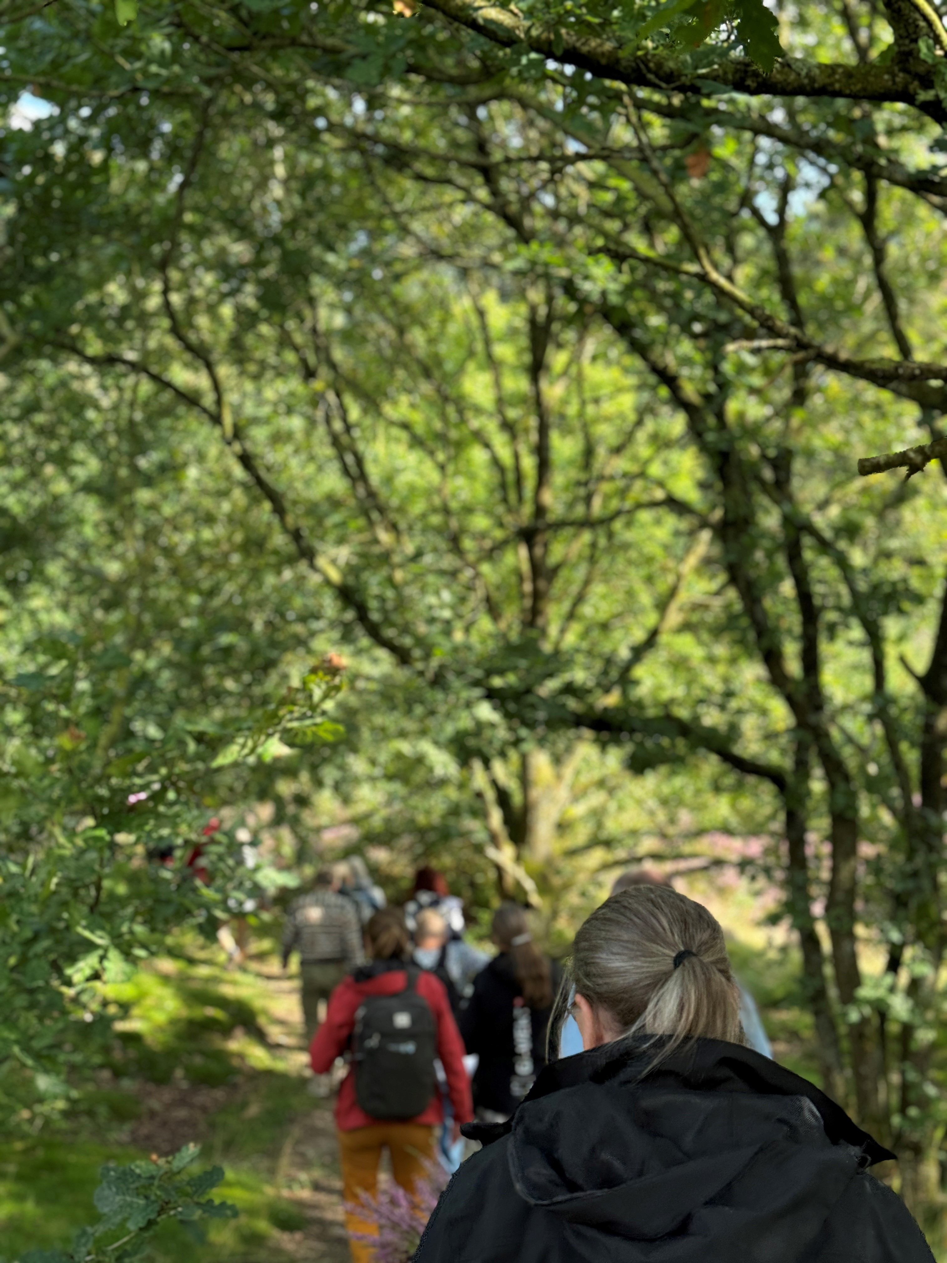 Sangvandring i Varnæs: Musikalsk start på Musikkens år 2025