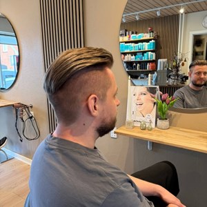 Opslagsbillede