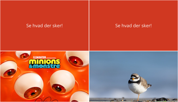 Spændende weekend i Rødby: Animation og naturvandring