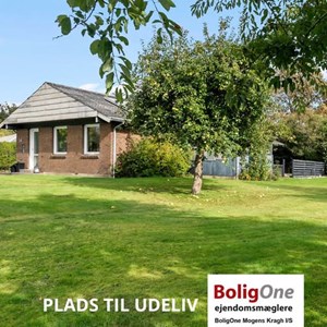 Opslagsbillede