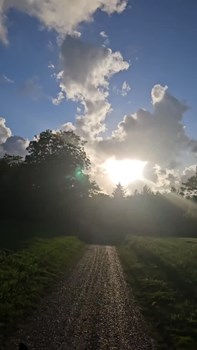 Opslagsbillede