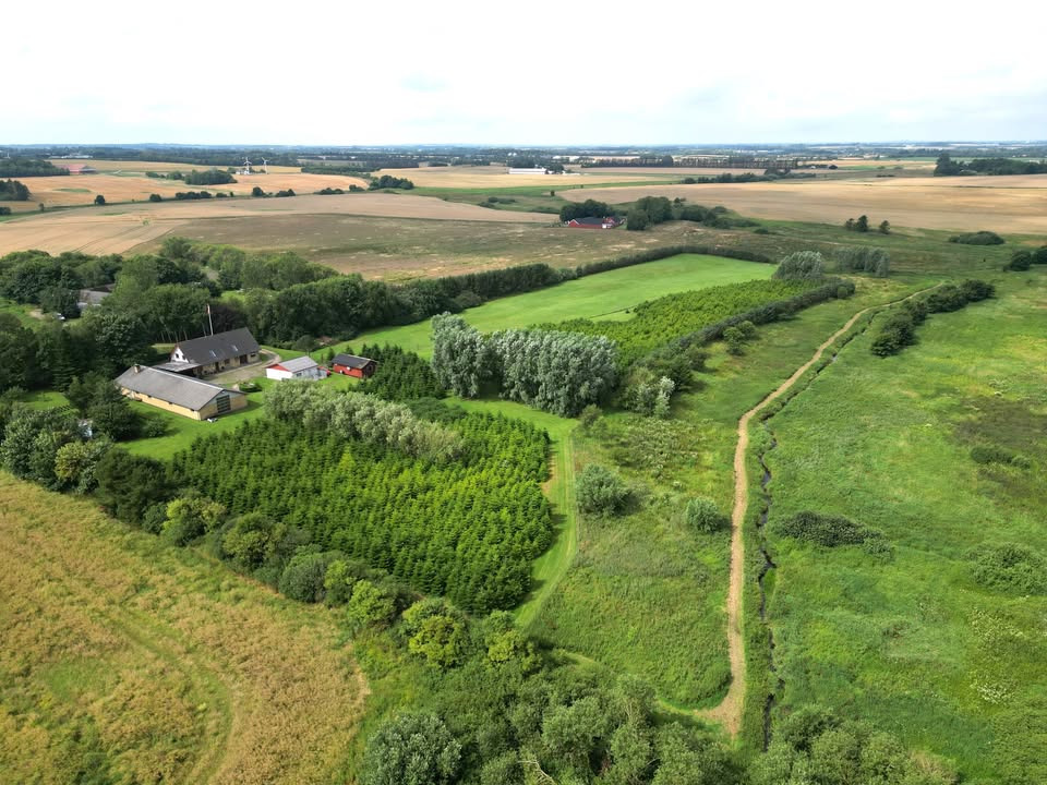 Home Brønderslev præsenterer unik ejendom i naturskønne omgivelser