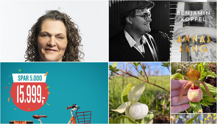 Nyt fra Frændes Madværk, HORNSLETH´S EFTF. Begravelsesforretningen, Horsens Cykler og 1 anden