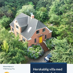 Opslagsbillede