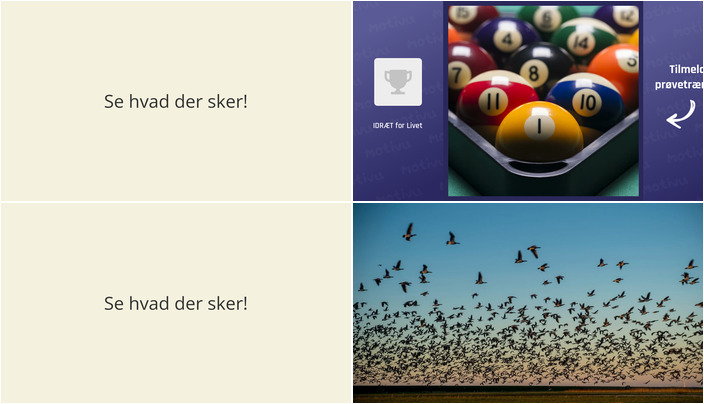 Weekendaktiviteter i Tønder: Spilaften og naturoplevelse