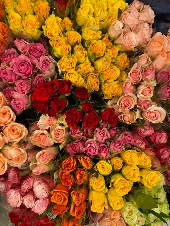 Se dagens updates fra Viby J her