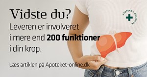 opslagsbillede