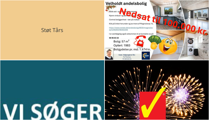 Nyt fra Tårs Forsamlingshus , Tårs Autoteknik og Estate Boligmægleren Tårs