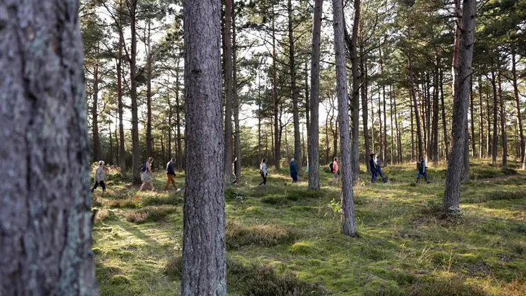 Teater Fluks genopliver Hjemstavn med nye podwalks i Østjylland