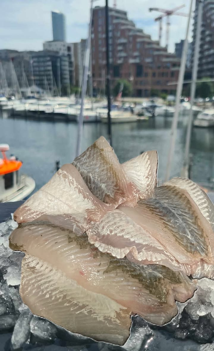 Løvbjerg Frederikshavn tilbyder skrubbefileter mod madspild: afhent i dag