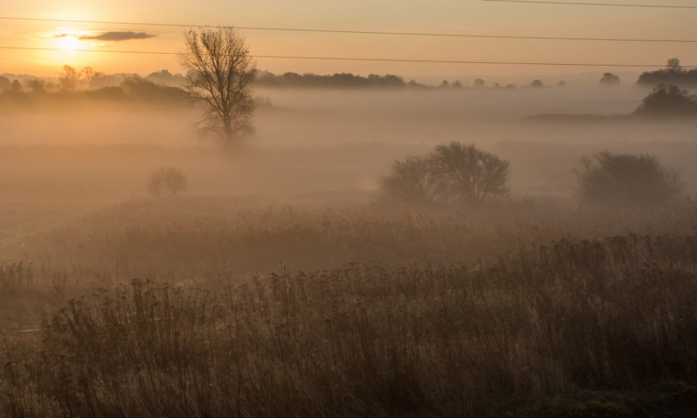 Oplev historien om Søborg Sø på en guidet vandretur