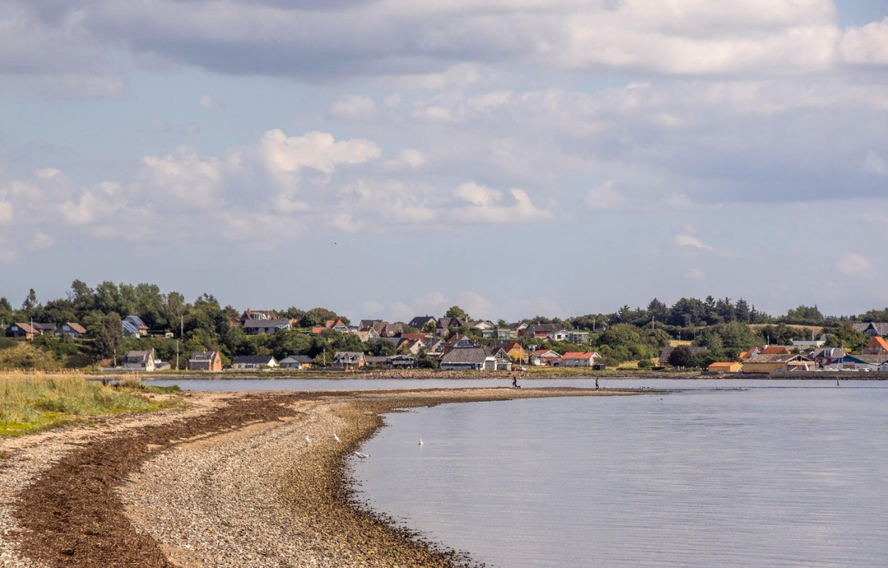 Oplev Limfjordens forunderlige verden på Skive Bibliotek 