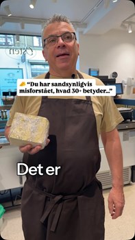 Opslagsbillede