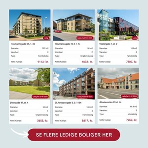 opslagsbillede