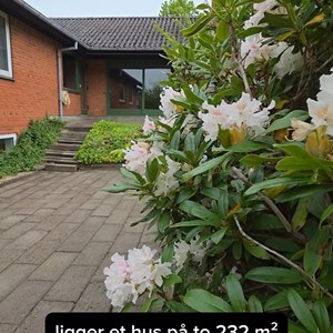Opslagsbillede
