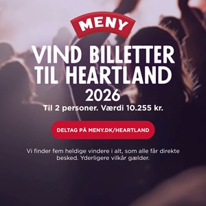 Opslagsbillede